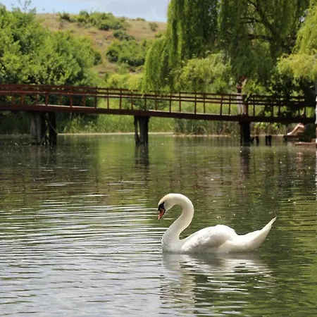 ホテル British ポグラデツ